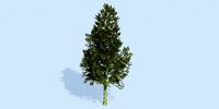 Lowpoly 3Dmodel tree VR AR game 3LOD number58