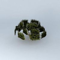 Tree large model