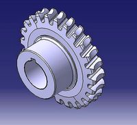Worm gear