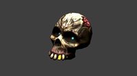 Skull hand painted