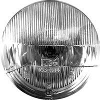 Black lighting bulb