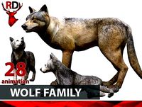WOLF FAMILY short
