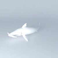 hammerhead shark
