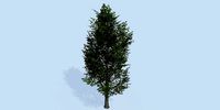 Lowpoly 3Dmodel tree VR AR game 3LOD number38