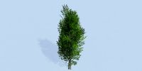 Lowpoly 3Dmodel tree VR AR game 3LOD number15