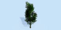 Lowpoly 3Dmodel tree VR AR game 3LOD number5