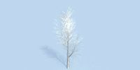 Lowpoly 3Dmodel tree VR AR game 3LOD number34