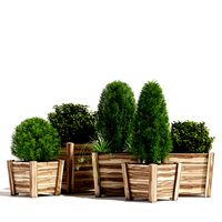 Hardwood planters