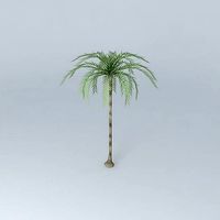 Inperial palm model