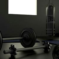 Simple Gym set -cycles