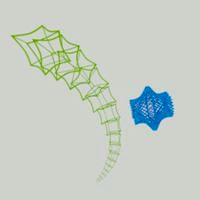 Animated Wireframe