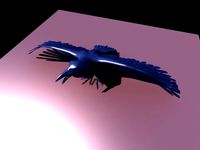 Raven