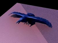 Raven