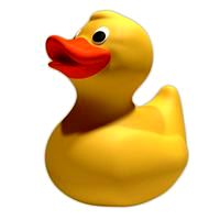 Rubber Duck