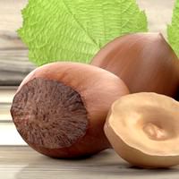 Hazelnut