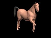 standing horse3d model