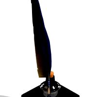Old Feather Pen