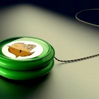 Yoyo