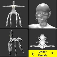 Drider