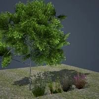 [BGE] textured & animated foliage