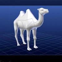 Bactrian Camel
