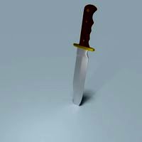Bowie knife