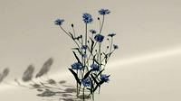 Cornflower3d model