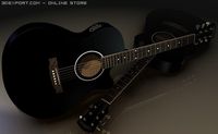 Electro acoustic guitar 3D Model