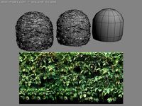 Lowpoly bush 3D Model