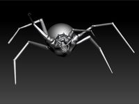 Spider 3D Model
