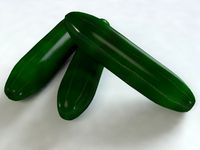 Cucumber 3D Model