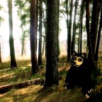 Black Bear