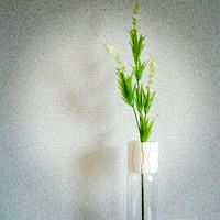 PET VASE CAP_03_slit