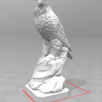 eagle1