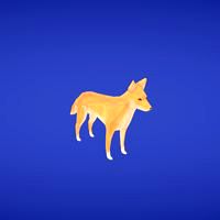 Dingo
