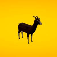 Goat