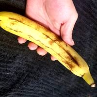 High Resolution Scan of a Banana.