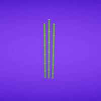 Bamboo