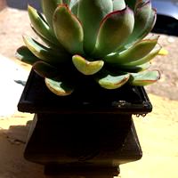 Flower Vase