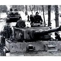 Tiger Tank Pack