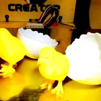 Cracked Egg