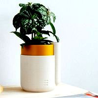 Self-Watering Planter (Small)