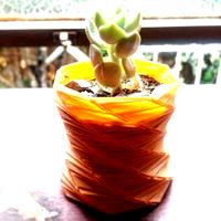 Planter V3