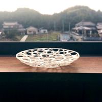 Voronoi dish
