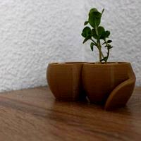 Plant pot with reservoir