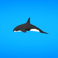 Orca