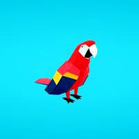 Parrot
