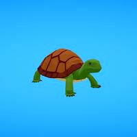 Turtle