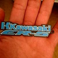 Kawasaki key ring