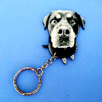 Rottweiler ENIA keychain